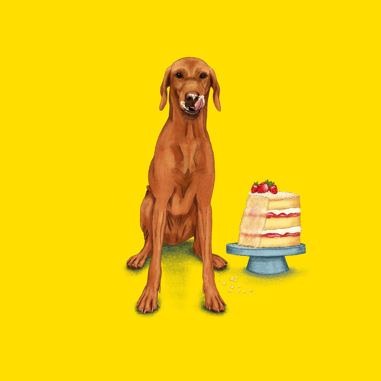 Badgerbee Design Birthday Greeting Card Collection cover illustration of a dog eating a cake