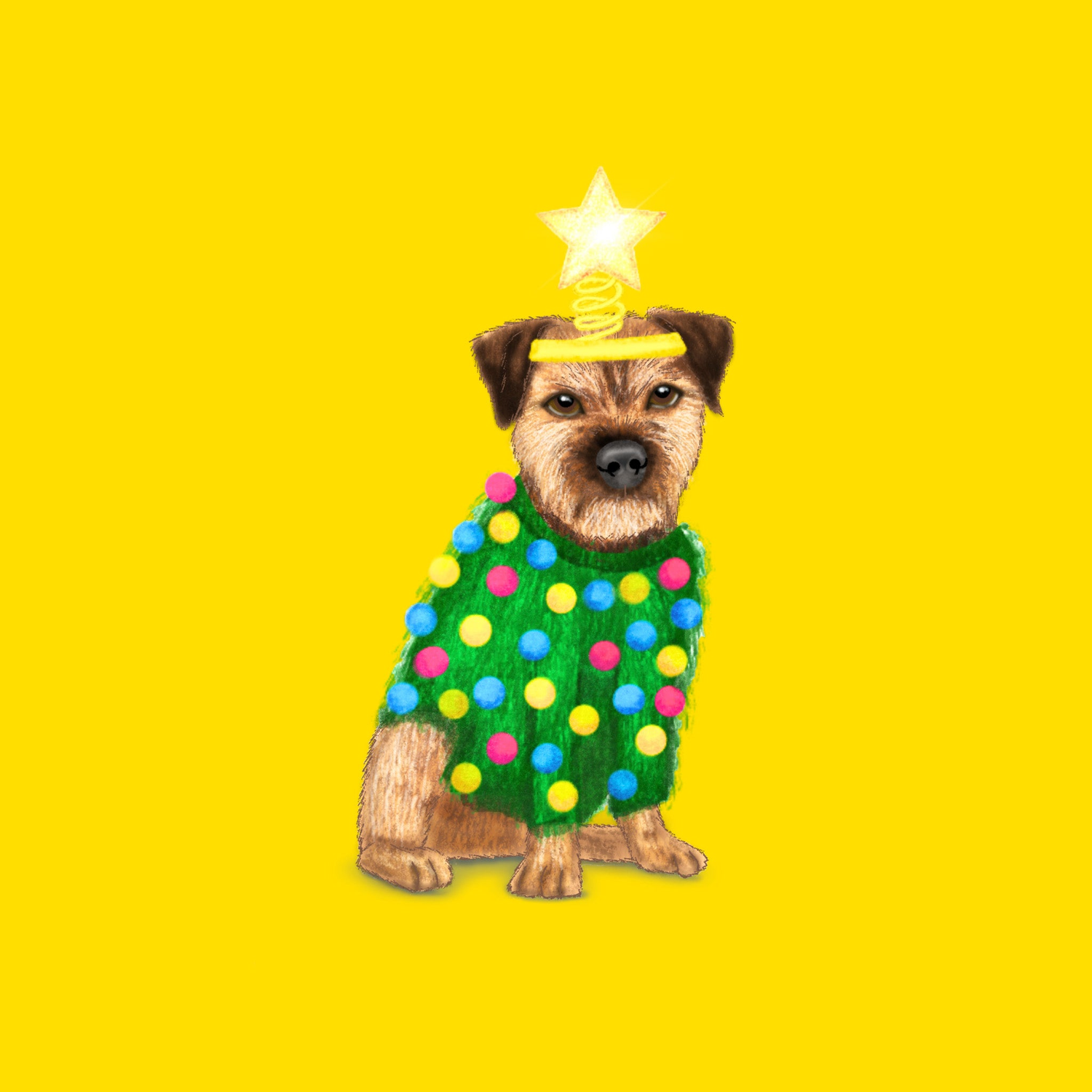 Badgerbee Design Christmas Dogs Greeting Card Collection cover illustration of a border terrier in a Christmas jumper with a star headband