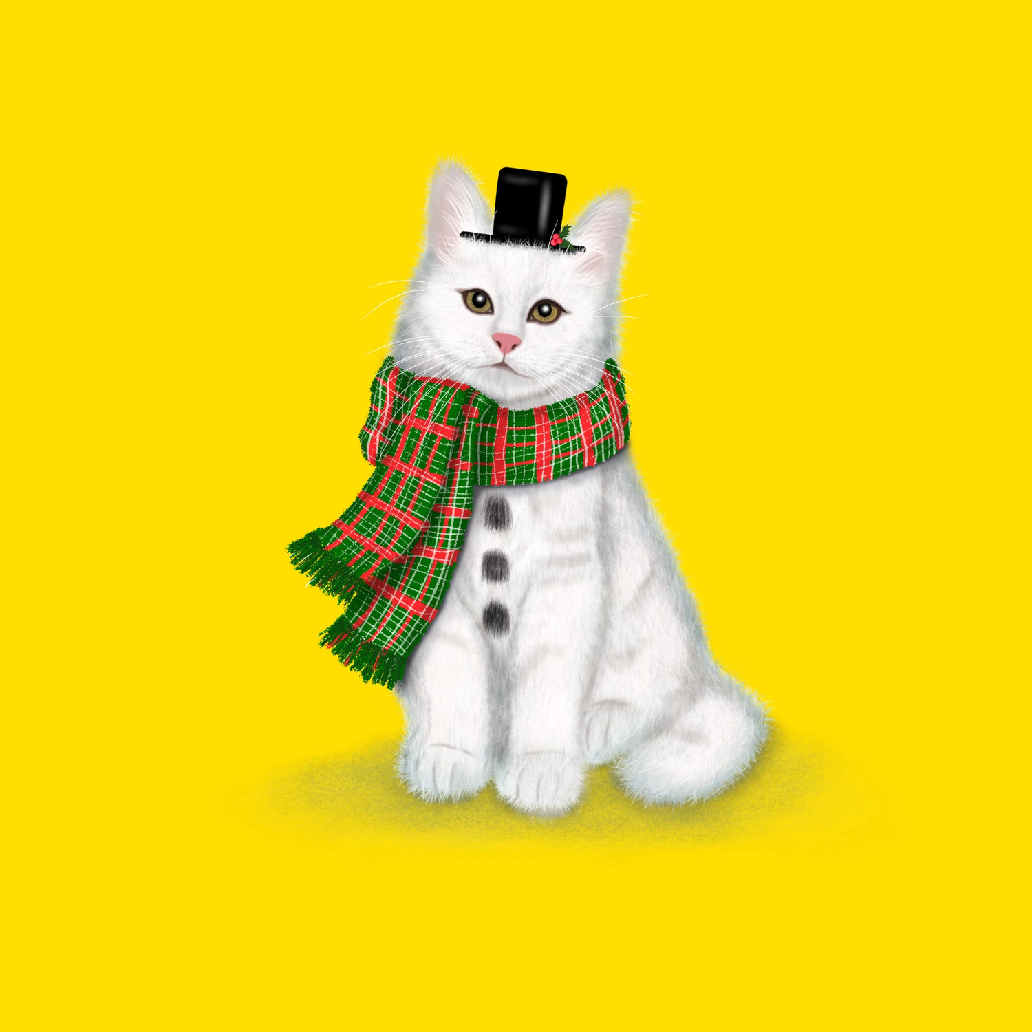 Badgerbee Design Christmas Cats Greeting Card Collection cover illustration of a white cat that looks like a snowman