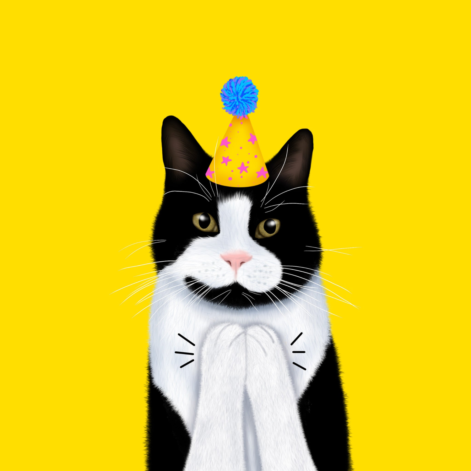 Badgerbee Design Birthday Cats Greeting Card Collection cover illustration of a black and white cat in a party hat clapping