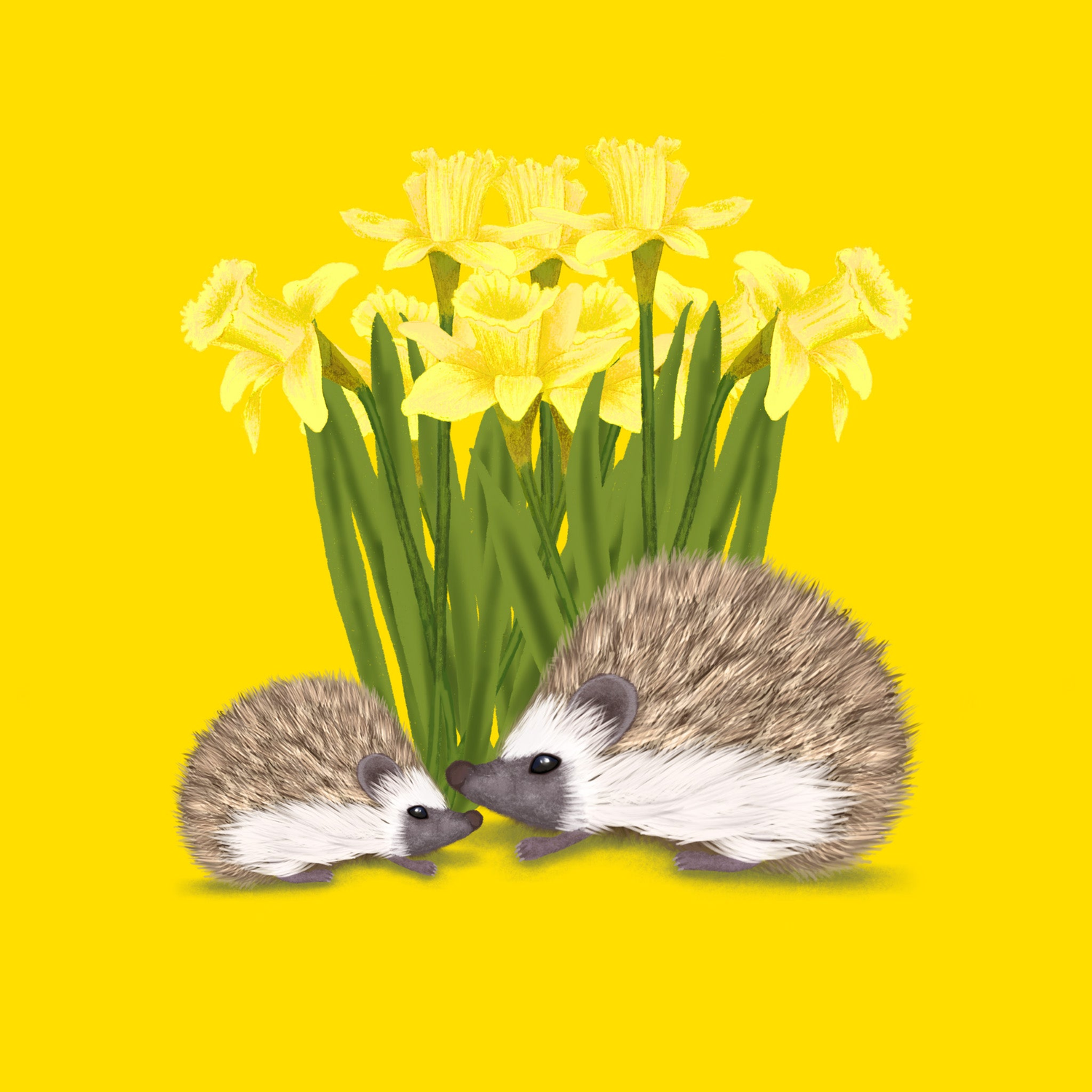 Badgerbee Design Mother's Day Greeting Card Collection cover illustration of two hedgehogs in front of daffodils