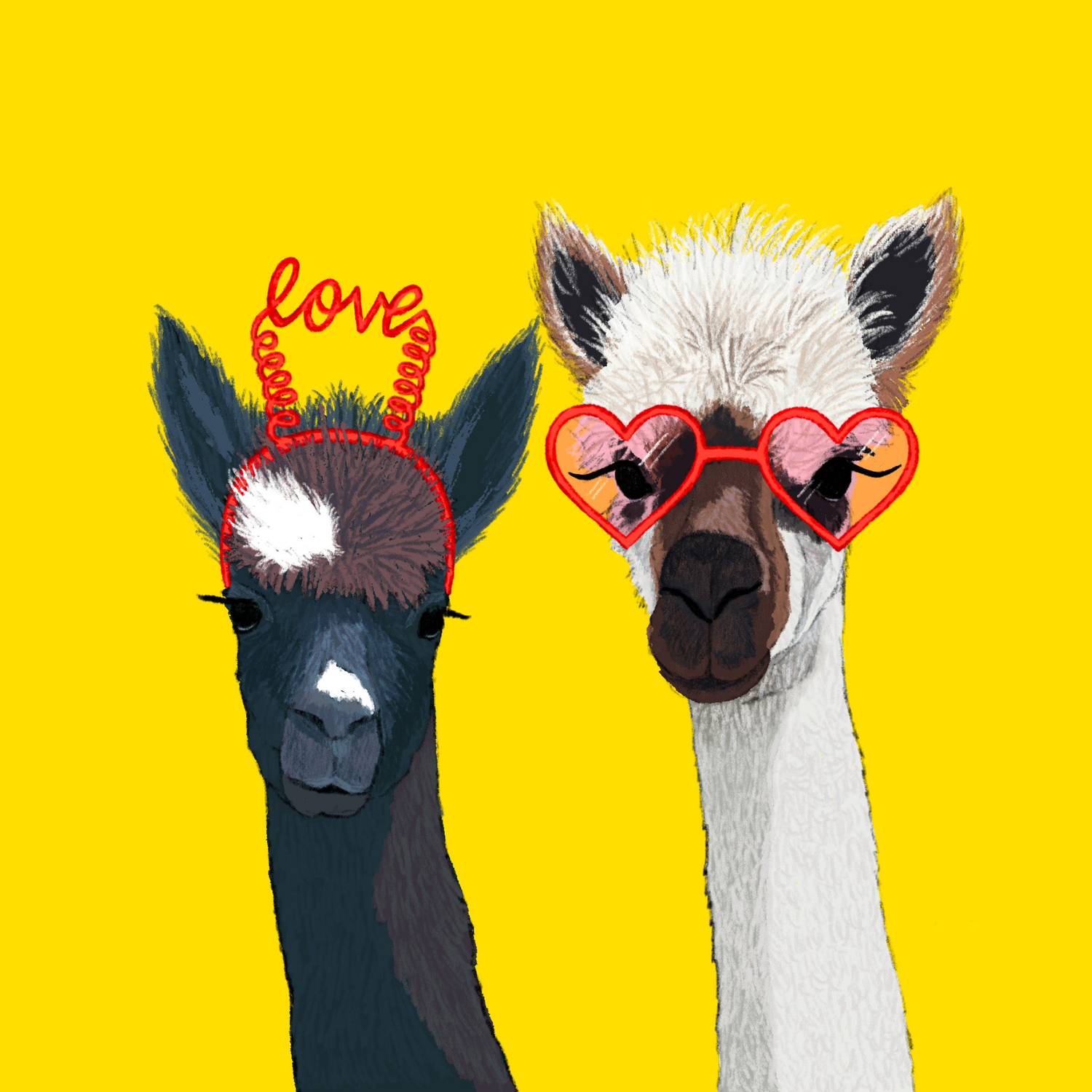 Badgerbee Design Valentines Day Greeting Card Collection cover illustration of two alpacas in love headband and heart glasses