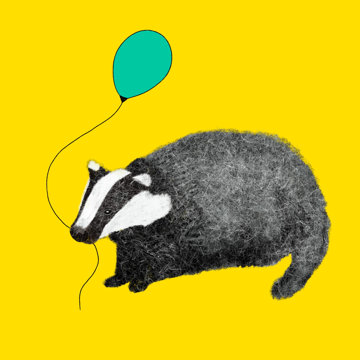 Badgerbee Design General Birthday Greeting Card Collection cover illustration of a badger with a green balloon